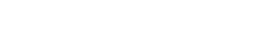 Emmedia - Webdesign Bureau Emmen - Logo Wit